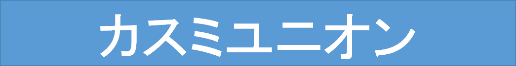 �J�X�~���j�I��